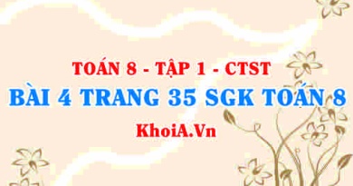 Bài 4 trang 35 SGK Toán 8 Tập 1 Chân trời sáng tạo